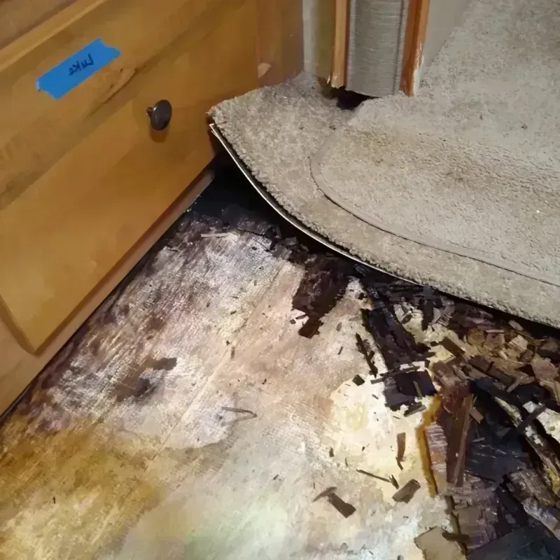 Best Wood Floor Water Damage Service in Jamestown, NY